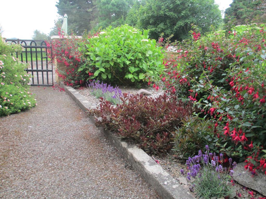 Tralia Farmhouse Self Catering Farranfore Quarto foto